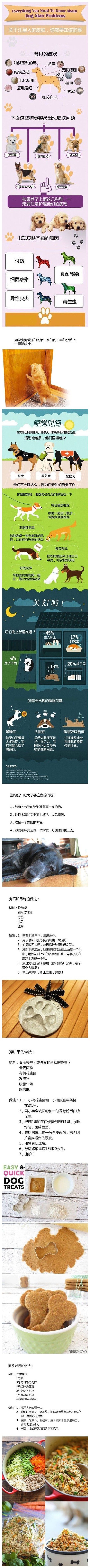 养狗手册